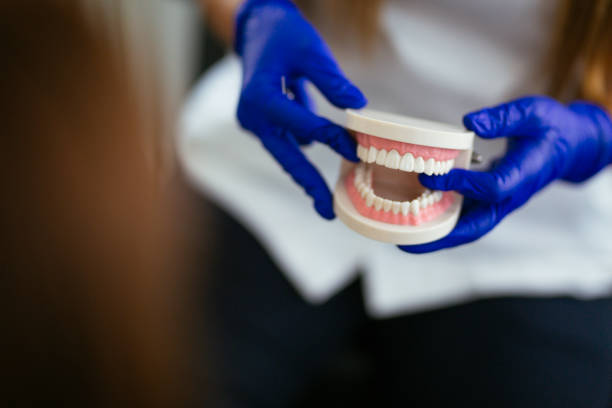 Trusted Palmerton, PA Holistic Dental Care Services Experts
